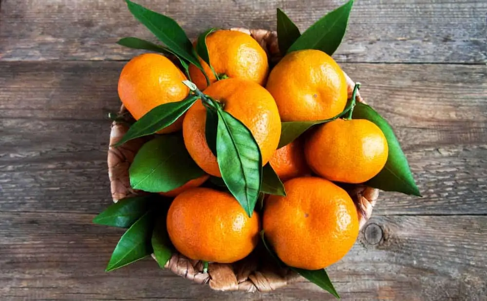 tipos de mandarinas
