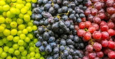 variedades de uvas
