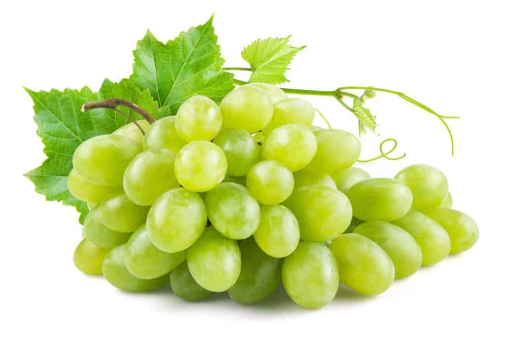 Uvas TODOS los Tipos, Propiedades Usos y Beneficios para la