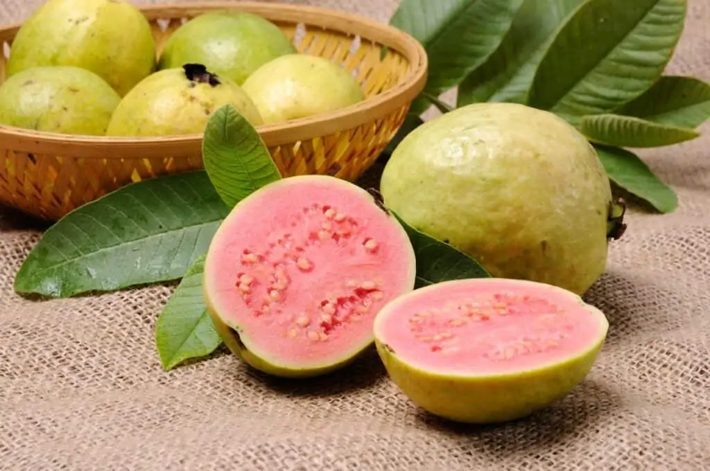 Fruta de guayaba blanca liofilizada 100% pura (0.7 onzas) | Snack saludable  listo para comer | Suplemento previo al entrenamiento y después del