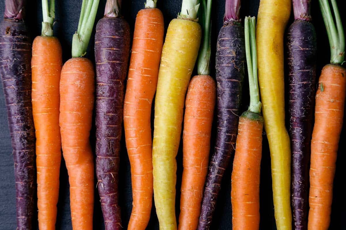 tipos de zanahorias