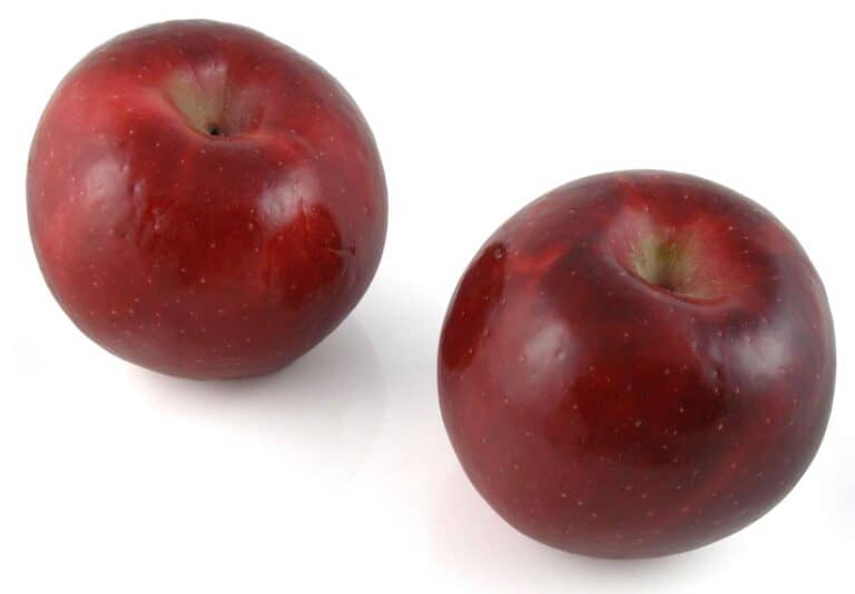 Manzana Propiedades y Beneficios. Arbol Semillas y Fruto