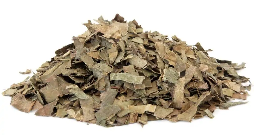 consumo hojas de nispero