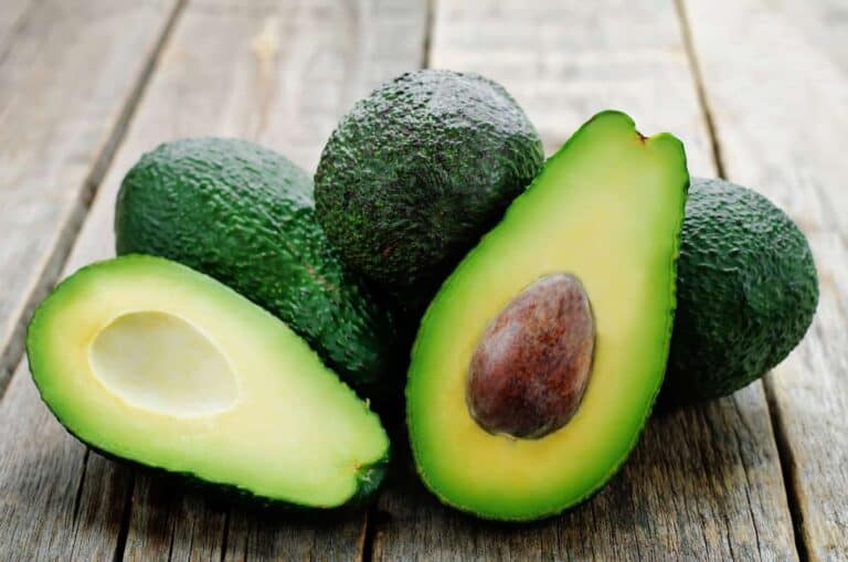 Aguacate Propiedades y Beneficios Cultivo Hueso Aceite y más