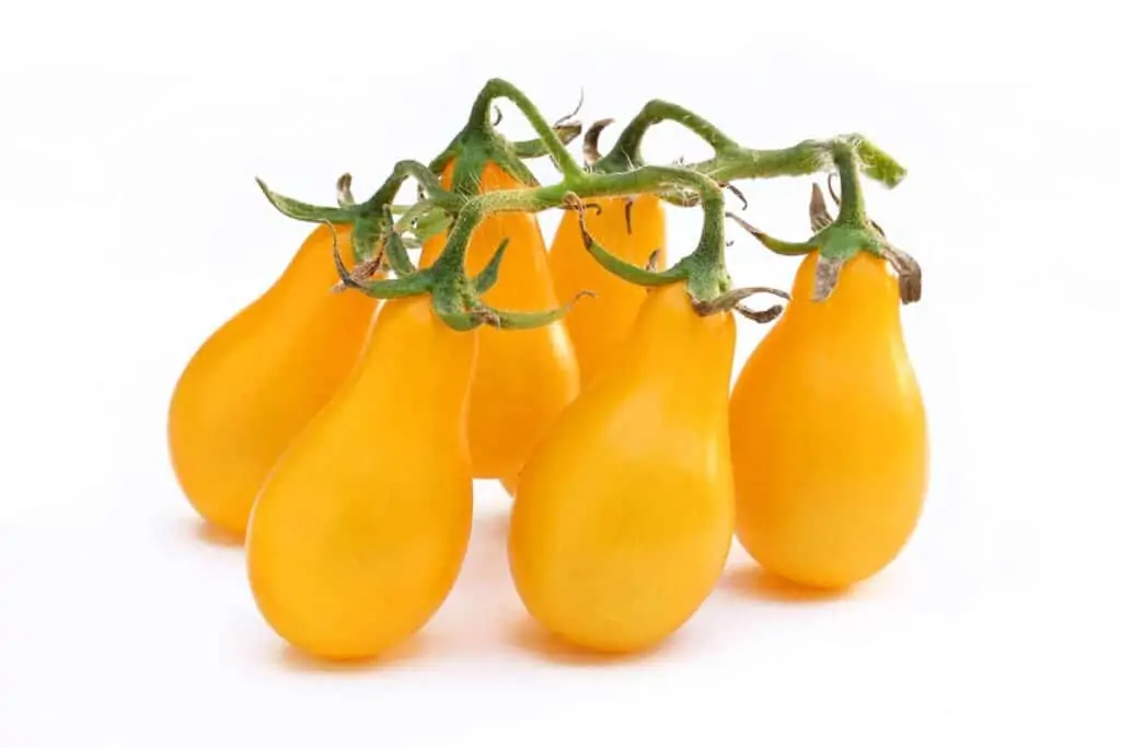 tomate pera amarillo