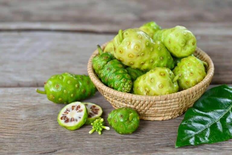 Noni Propiedades y Beneficios Frutas y Verduras