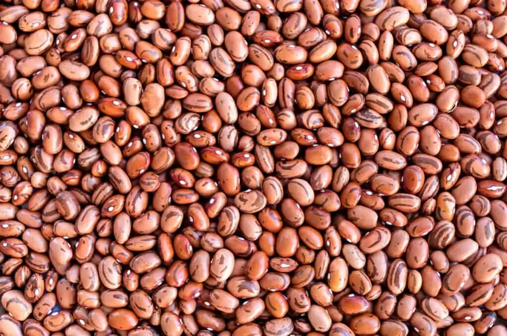 beneficios del frijol