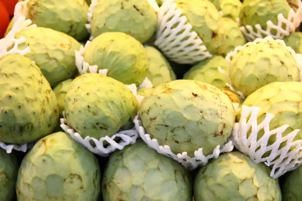 como cultivar chirimoya