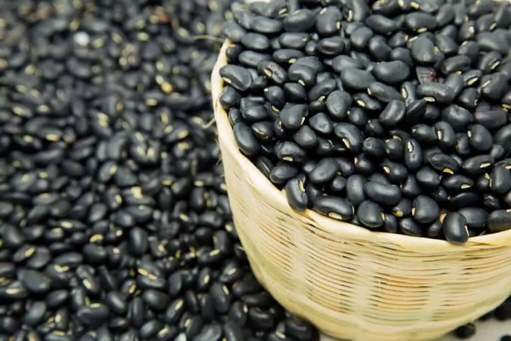 frijol negro