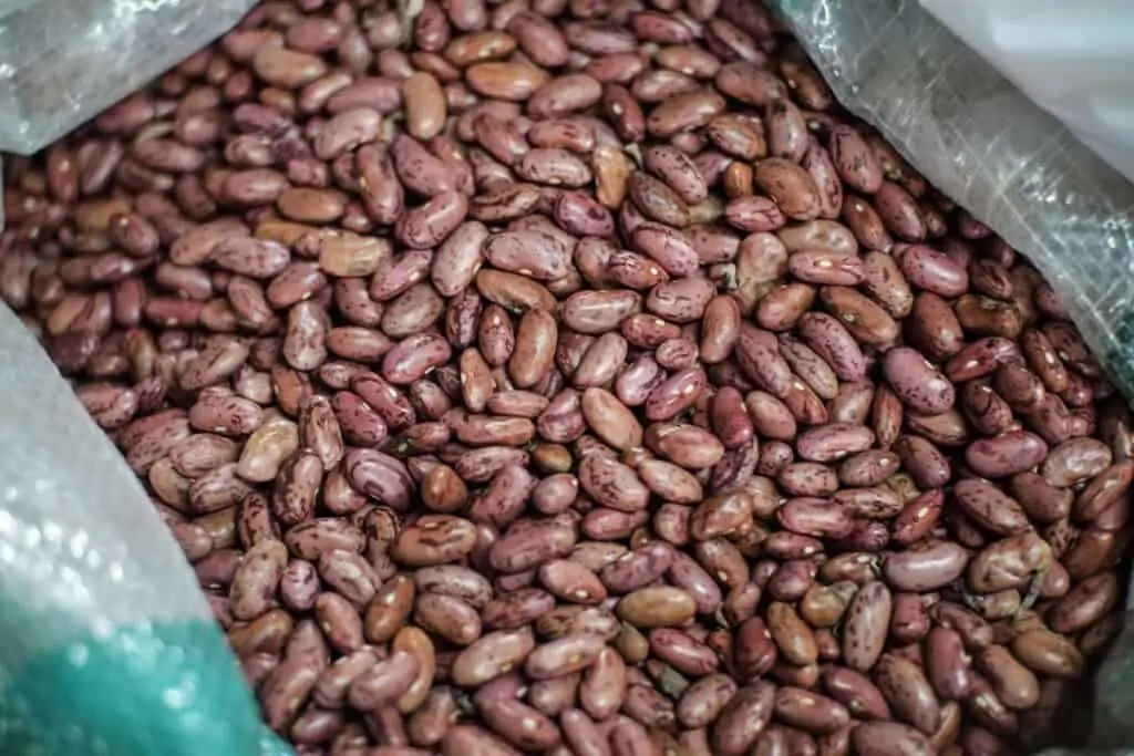 frijol red kidney