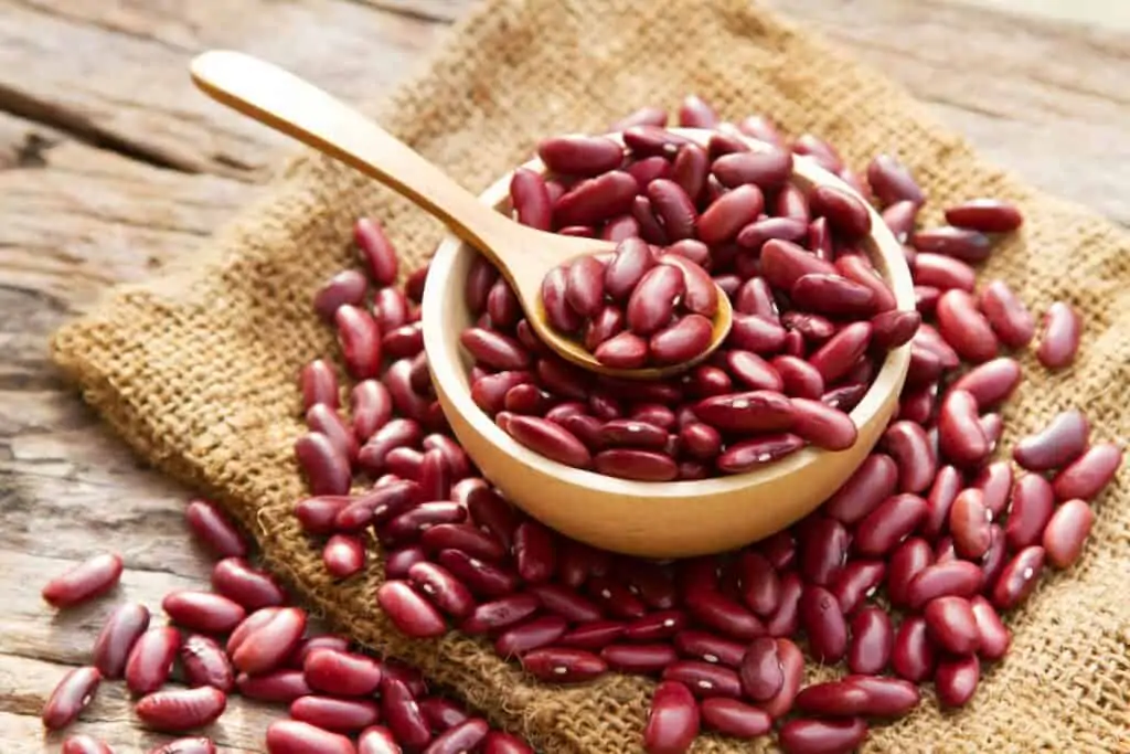 frijol rojo