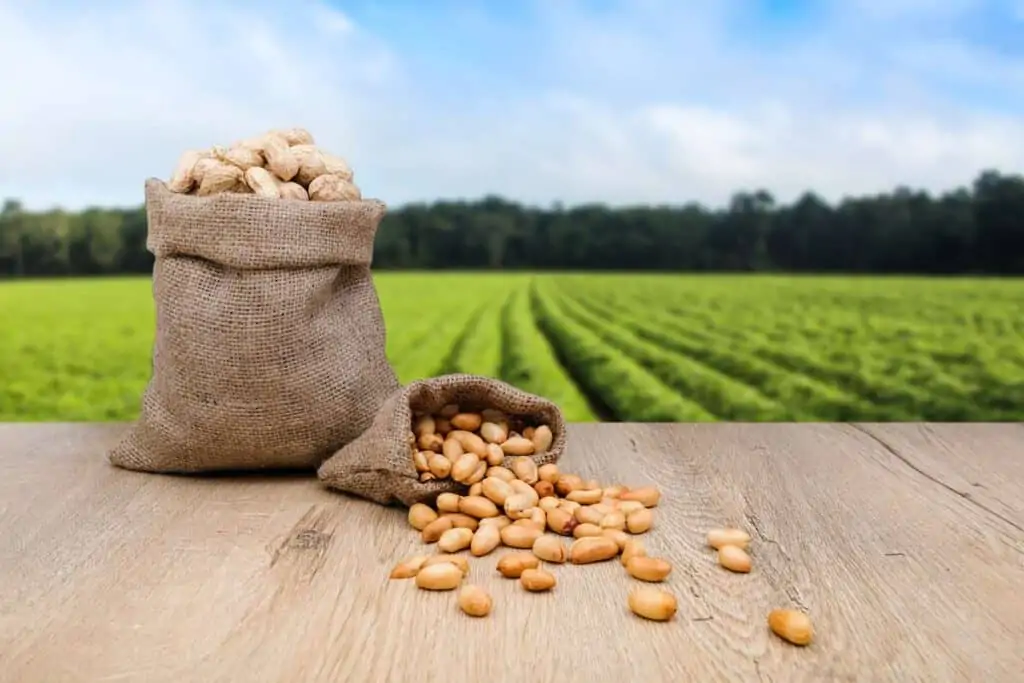 beneficios de los cacahuetes