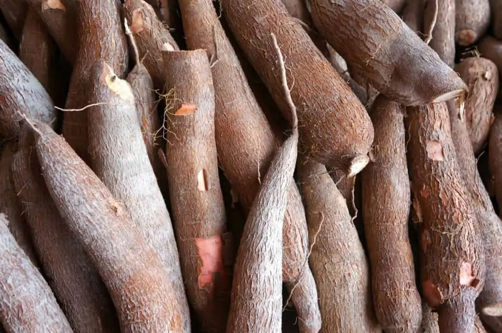 contraindicaciones de la yuca