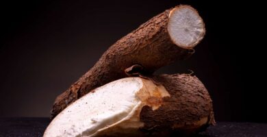 yuca